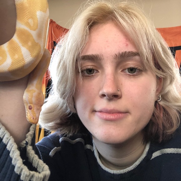 ggelms
